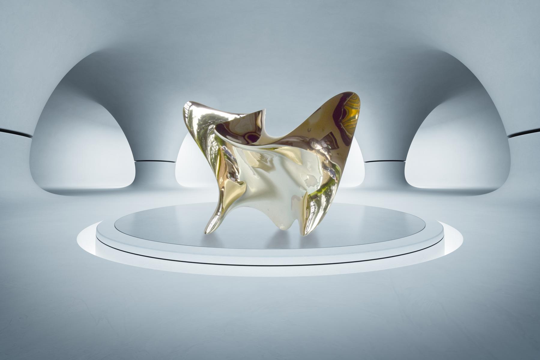 Trans-dimensional object  "nimbus"_Bronze polished