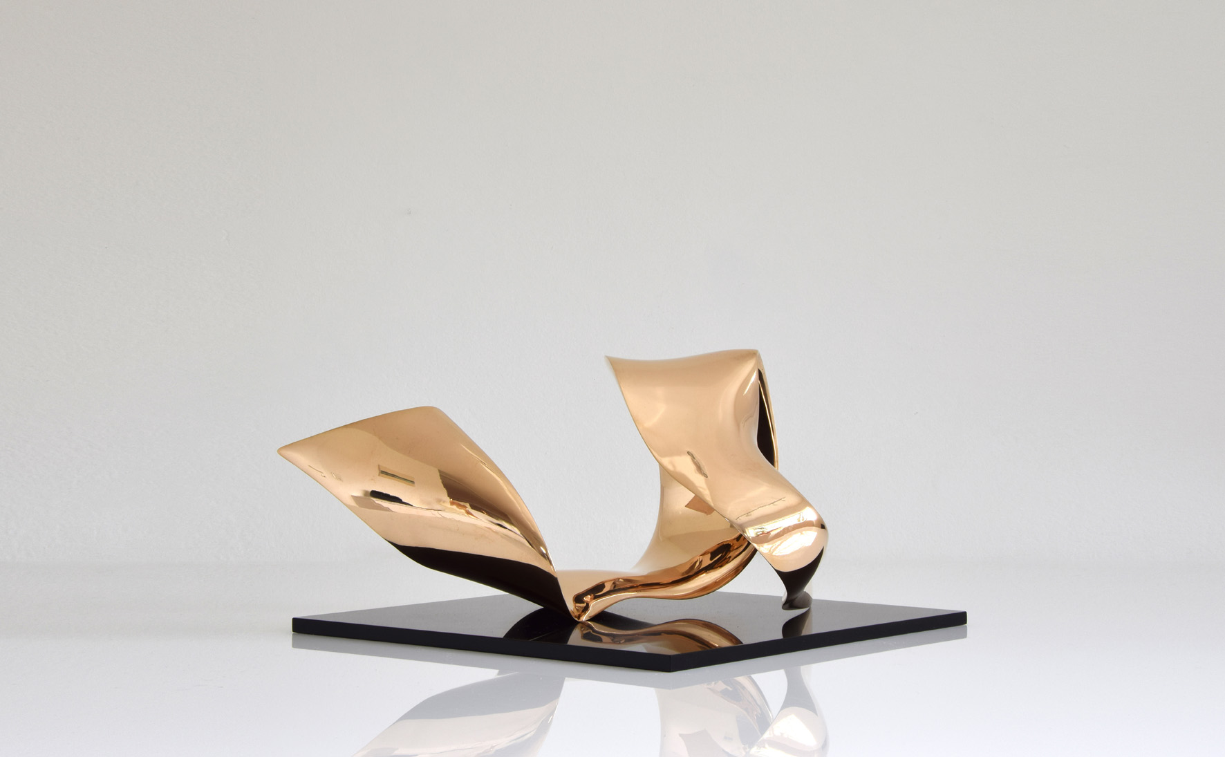 trans-dimensional object "evolution" Bronze polished