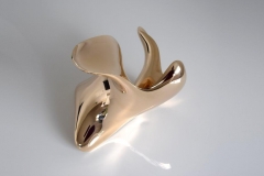 trans-dimensional object "transition" Bronze polished