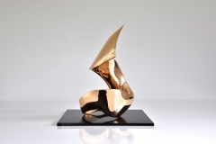trans-dimensional object "evolution" Bronze polished