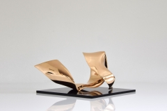 trans-dimensional object "evolution" Bronze polished