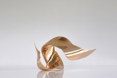 trans-dimensional object "evolution" Bronze polished